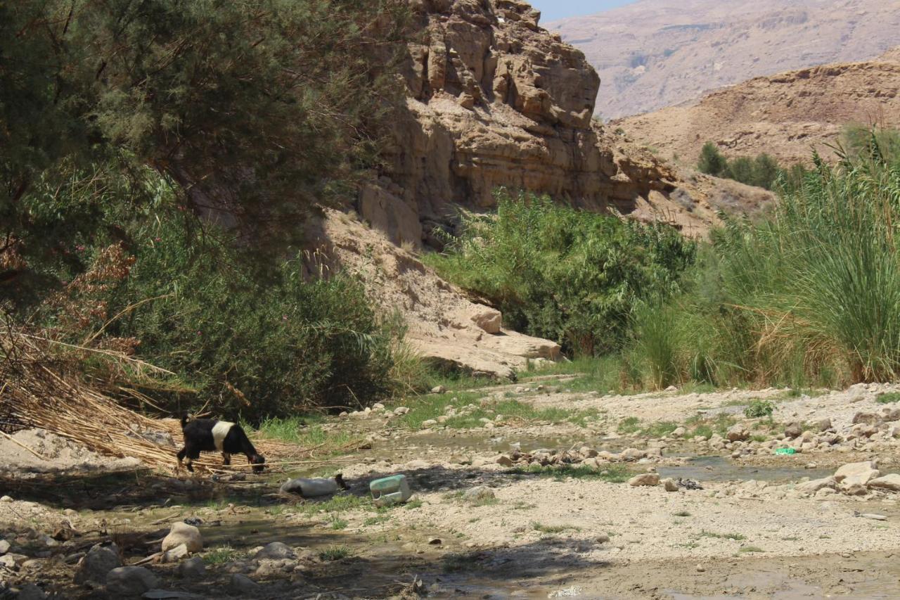 Wadi Al-Hassa Camp Hotel Khawkhah Exterior photo