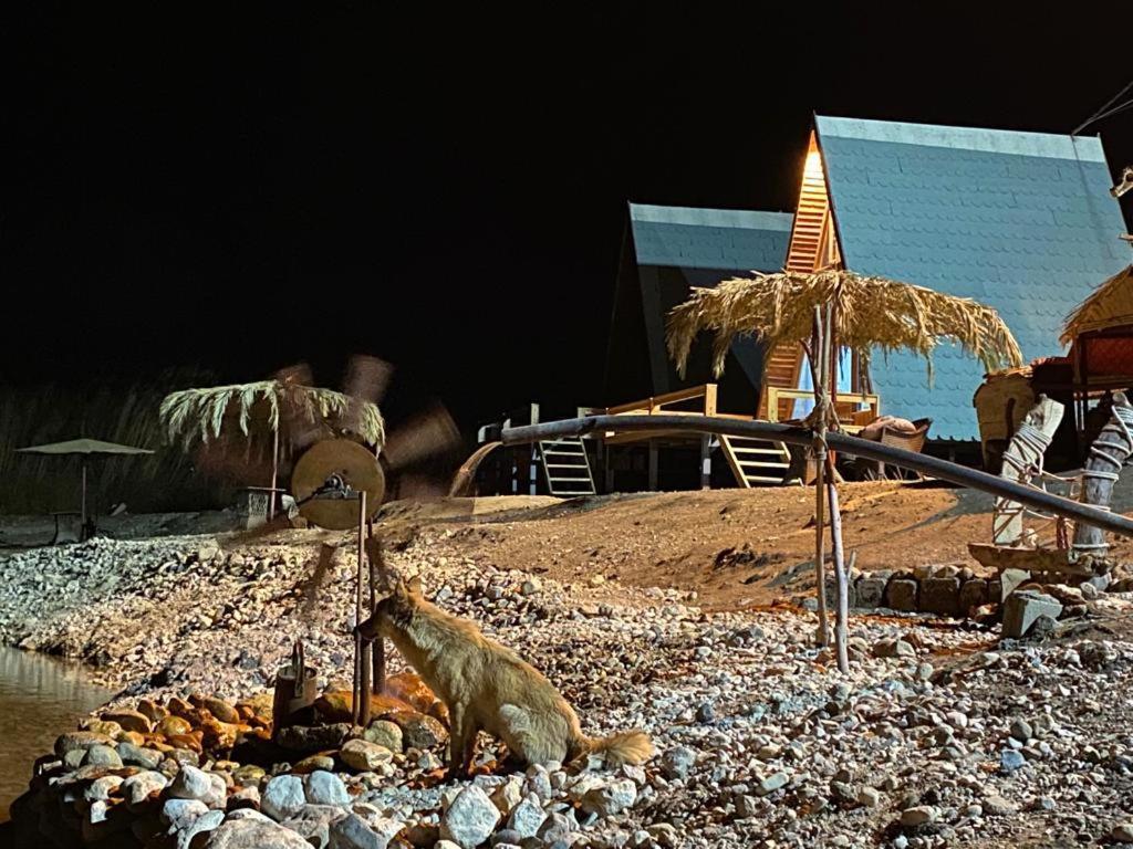 Wadi Al-Hassa Camp Hotel Khawkhah Exterior photo