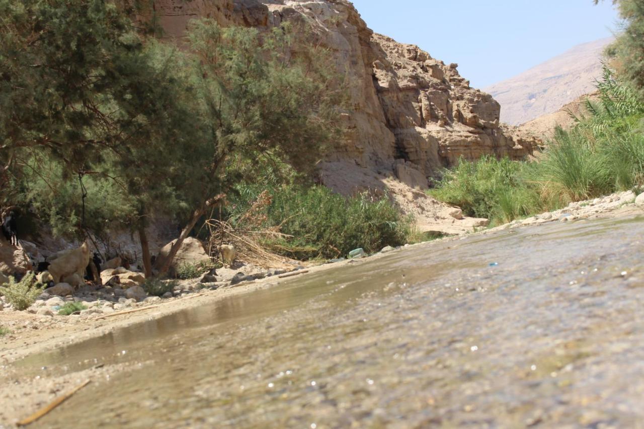 Wadi Al-Hassa Camp Hotel Khawkhah Exterior photo